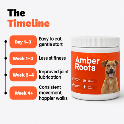 Loose, Pain-Free Movement in 3–4 Weeks — Green Lipped Mussel Powder