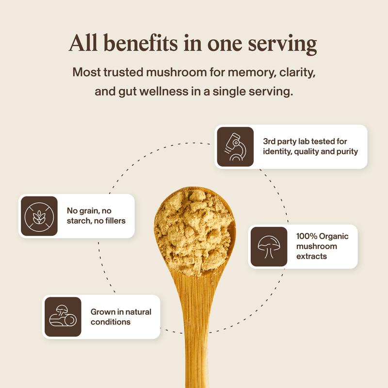 Sharper Memory, Clearer Focus — From 100% Organic Lion's Mane