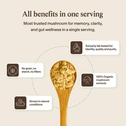 Sharper Memory, Clearer Focus — From 100% Organic Lion's Mane