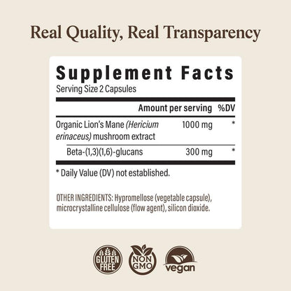 Sharper Memory, Clearer Focus — From 100% Organic Lion's Mane