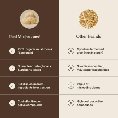 Sharper Memory, Clearer Focus — From 100% Organic Lion's Mane