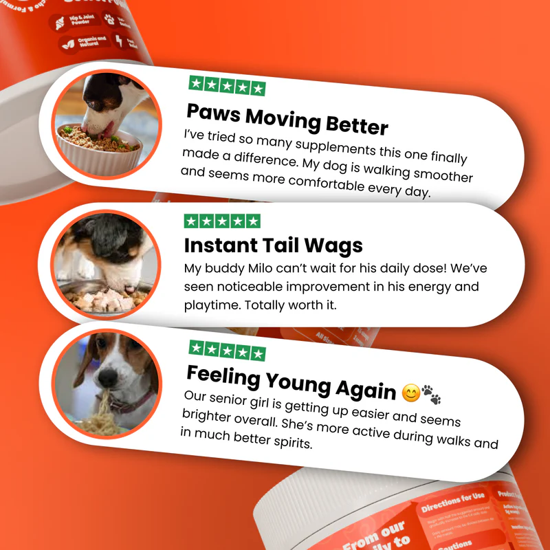 Loose, Pain-Free Movement in 3–4 Weeks — Green Lipped Mussel Powder