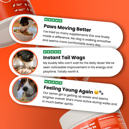 Loose, Pain-Free Movement in 3–4 Weeks — Green Lipped Mussel Powder