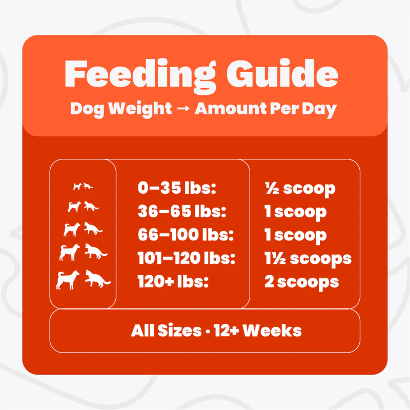 Loose, Pain-Free Movement in 3–4 Weeks — Green Lipped Mussel Powder